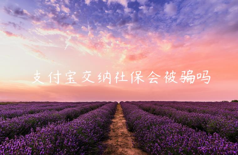 支付寶交納社保會(huì)被騙嗎